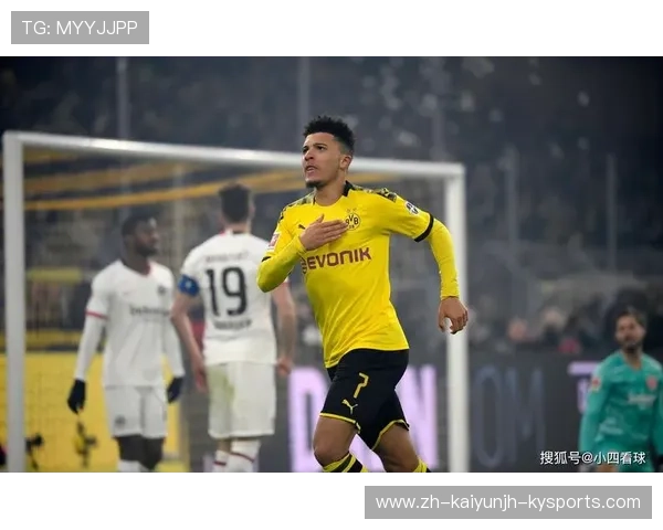 德甲球队球员国籍分布及国际化趋势 德甲球队球员国籍分布及国际化趋势